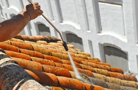 Nettoyage de toitures - Pithiviers-le-Vieil